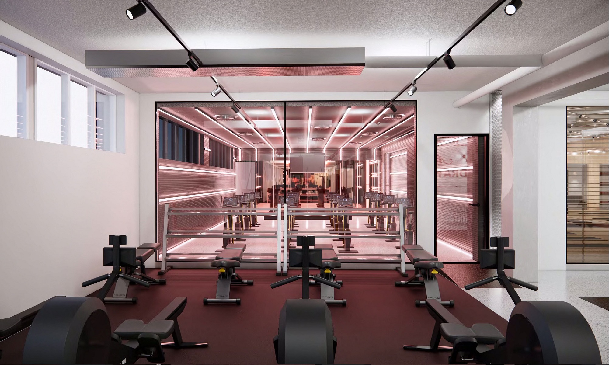 gym